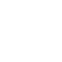 Pinecone logo