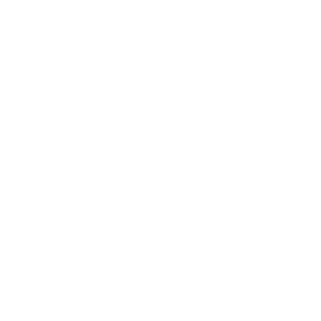 Lepton AI logo