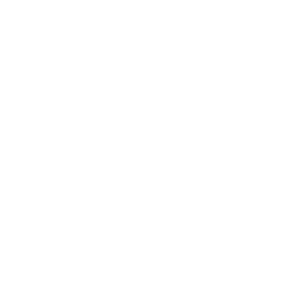 Skywork logo