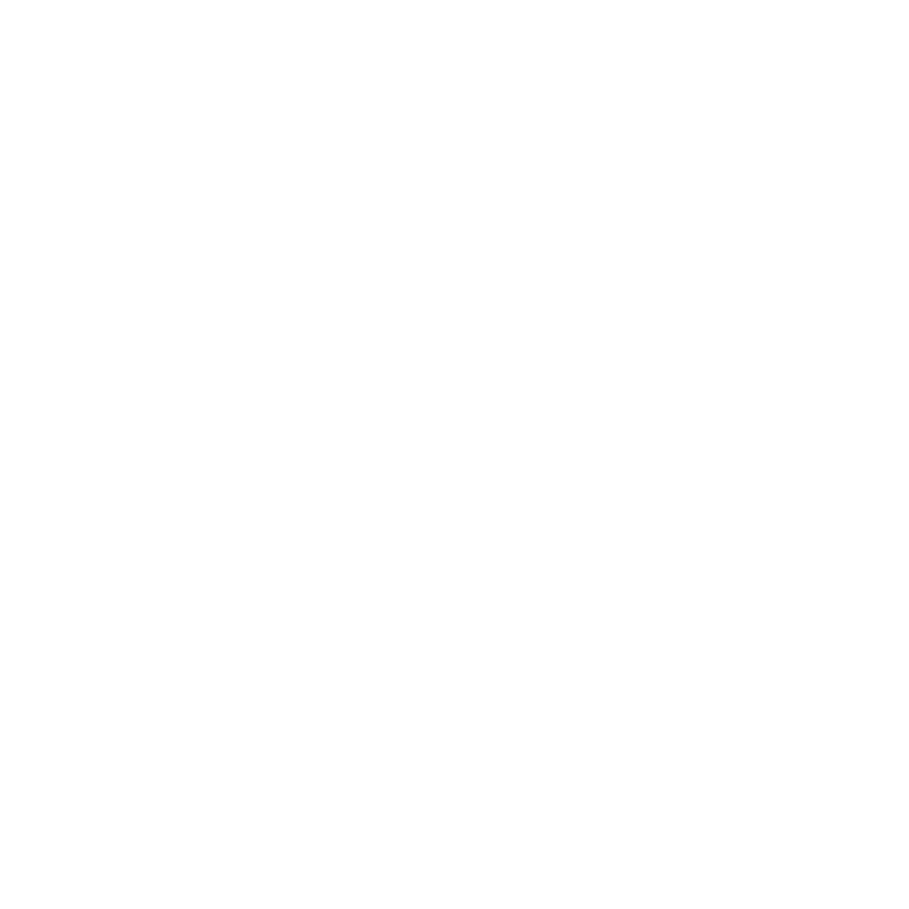 Stepfun logo